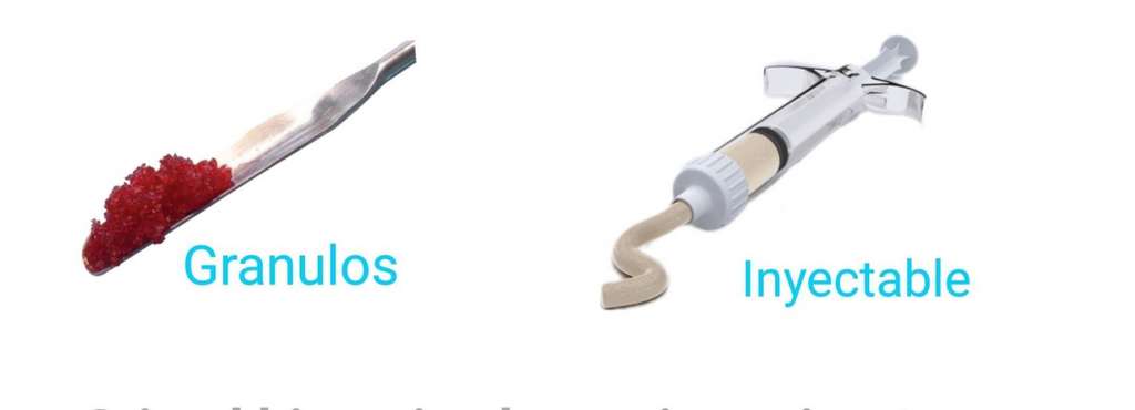 GlassBONE™ Sustituto óseo bioactivo