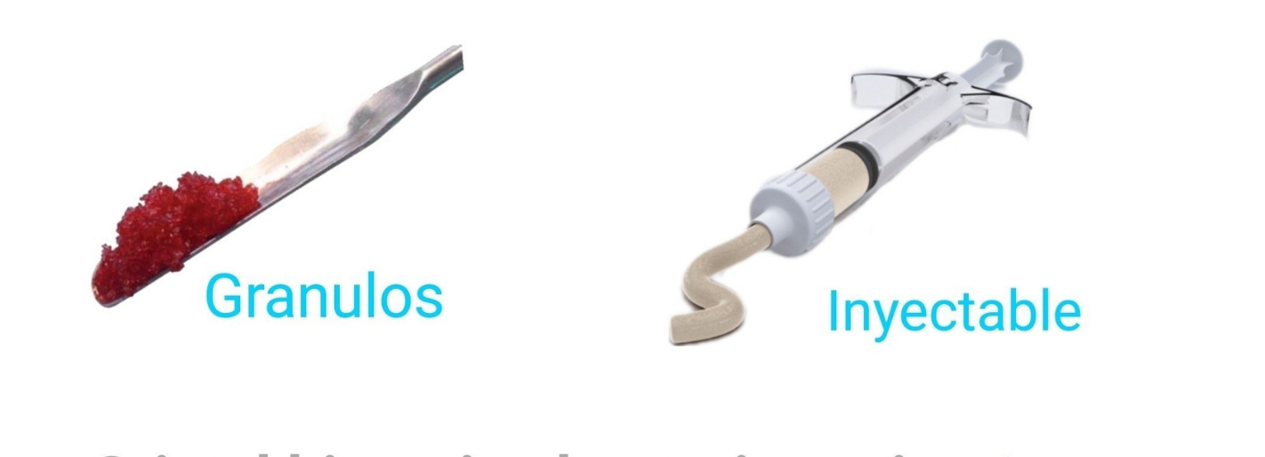 GlassBONE™ Sustituto óseo bioactivo